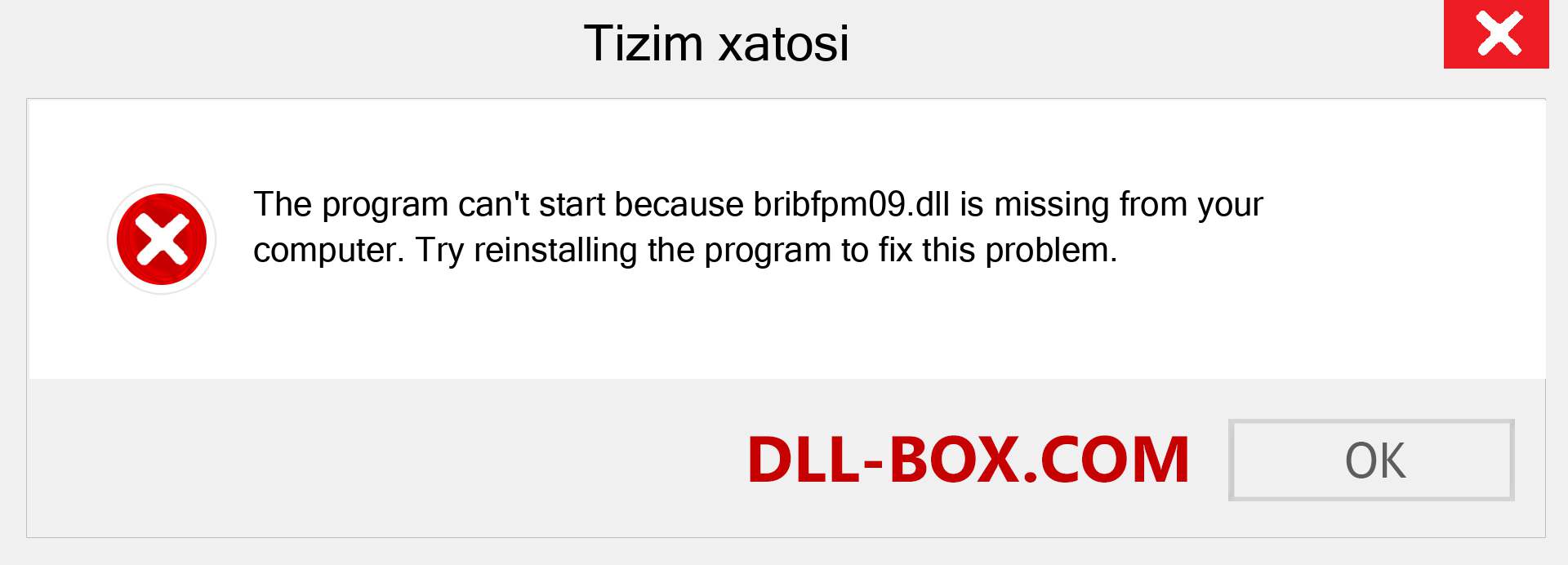 bribfpm09.dll fayli yo'qolganmi?. Windows 7, 8, 10 uchun yuklab olish - Windowsda bribfpm09 dll etishmayotgan xatoni tuzating, rasmlar, rasmlar